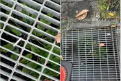 高嘉瑜發文「水溝裡有青菜」　連日引戰網炸鍋：妳煩不煩？
