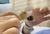 沒症狀的膽結石更危險！59歲男肝指數暴衝550
