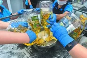 遭綠委批「只驗1次」　台中市府搬數據回擊：不應散布錯誤資訊