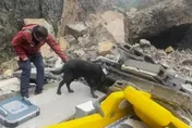 搜救犬找到了！重慶山崩現場發現生命跡象　正研究移除巨石