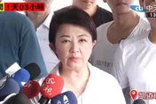 藍營小雞頂高溫絕食抗議！盧秀燕赴凱道擁抱打氣：非常不捨