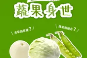 農糧署揭秘：高麗菜、美濃瓜、高麗菜名稱與產地無關