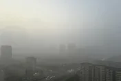 空污從肺傷到腦！研究：多吃鯖魚、花椰菜能替身體踩煞車