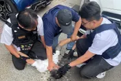 影/草屯工廠遭強盜持械搶劫！南投61警力跨縣市逮嫌犯