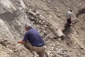 影/風災毀苗栗南庄！族人「自闢山路」運甜柿如回石器時代