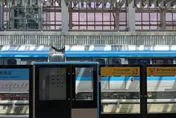 通勤族崩潰！三鶯線全線降級運轉「班距18分鐘」