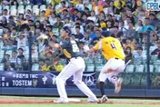 中職/郭阜林防守站位不當被炎上　張士綸：學長有跟我道歉