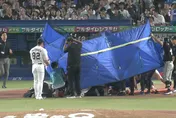 日職/養樂多捕手自打球擊中臉　中村悠平「眼眶骨折」遭抹消登錄