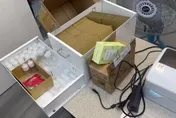 影/狂扣22罐！社群平台公然賣毒　竹市警逮毒販扣喪屍菸彈