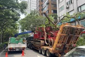 影/北市大安區曳引車勾斷路樹　敦化南路塞爆