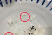 白飯混陶瓷碎片割傷3歲童口腔　大戶屋：加強出餐檢視