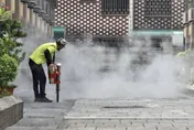 國衛院開發AI預測斑蚊密度　拚應用助地方登革熱防治