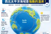聖嬰年發威！西北太平洋成「強颱溫床」　林得恩：今年強颱機率大增
