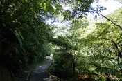 欠稅4.3億！前東帝士總裁陳由豪18筆土地　8/4拍賣