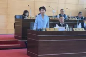 台中市議會亂鬥綠議員控遭推擠　盧秀燕反嗆：我也遭受妳的暴力