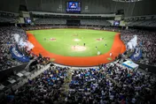 中職/富邦悍將邀超狂韓團卡司！　SJ、孝琳、溫流登大巨蛋