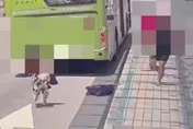 影/北車「台男追打菲女還砸壞公車站螢幕」！美籍男阻止爆扭打