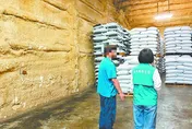 苦茶油苯駢芘超標　源春製油廠：原料來自2管道