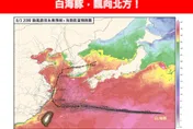 白海豚恐「大角度北轉」　專家預測：風浪將大於降雨