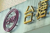 中天解碼/連高檢署主任也看不下去了！撕開謊言　看見了執政黨的不堪