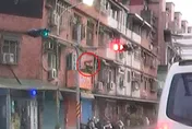 打雷受驚！毛小孩3樓墜落喪命　樹林飼主被罰1萬5