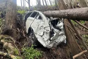 失蹤5個月尋獲！新竹60歲男山谷墜車成白骨　警方報請相驗