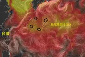 黑潮蓄勢待發！白海豚吸飽熱能恐硬化　鄭明典揭恐怖訊號