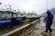 罕見！白海豚颱風逼近　廣東突對「台灣海峽南口」實施交管