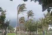 8級強陣風殺到　12縣市強風特報颳到明晚
