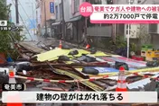 影/白海豚來了！10米大樹連根拔　肆虐沖繩影像曝光