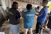 雲林羊肉污染源揪出來了！草料檢出戴奧辛超標0.353　8羊全撲殺化製