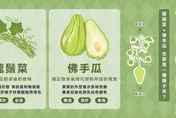 龍鬚菜、佛手瓜是同種植物？農業部揭密「親子關係」