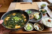 長壽秘訣找到了！9成日本人腸道菌具分解海藻基因