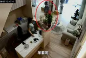 影/屏東噁男狂問美容店「有做全套嗎」　恐吞1.2萬罰單或拘留