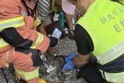 新店民宅火警濃煙狂竄無人受傷　1貓咪受困火場死亡