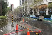 白海豚襲台北市災情最新！多個行政區「路樹接連倒塌」