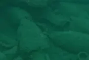 義大利漁民潛水大發現！西西里島海底竟藏2100年前沉船