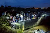 探索高美濕地生物　日間導覽、夜間陸蟹保育體驗開放報名