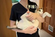 張元瀚猝逝！3個月後愛貓也走了　妻淚：牠的難過不比人少