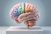 溺水、一氧化碳中毒恐傷腦！醫揭缺氧搶救「時間就是關鍵」