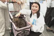 從動保到產業發展！張嘉郡四大政策盼毛孩成為經濟新動能