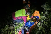 闖國家公園禁地遭虎頭蜂螫一度失聯　發現最後一人了！
