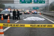 陸翁闖高速被撞死！6子女怒告公路單位求償62萬　敗訴原因曝