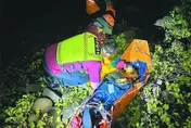 墾丁闖古道遭蜂圍攻雙亡！相驗結果：頭手滿是螫痕休克死