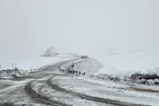 夏威夷下八月雪！熱帶風暴「菈菈」狂灌暴雨　火山「一夜白頭」