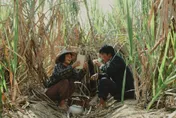 《大濛》代表台灣征戰奧斯卡！角逐「最佳國際影片」