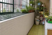 陽台權狀沒寫？新北中和地政教你辦理陽台補登