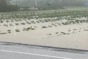 影/下班暴雨灌全台！17縣市豪雨特報　屏東多地爆淹水災情