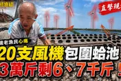 20支風機包圍蛤池！78歲老農心痛：比針扎還痛！葉元之轟：用核能就不用插這麼多風機