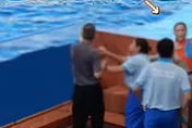 醉漢海洋公園狂鬧！執意跳海豚池　工作人員急喊：你會死掉
